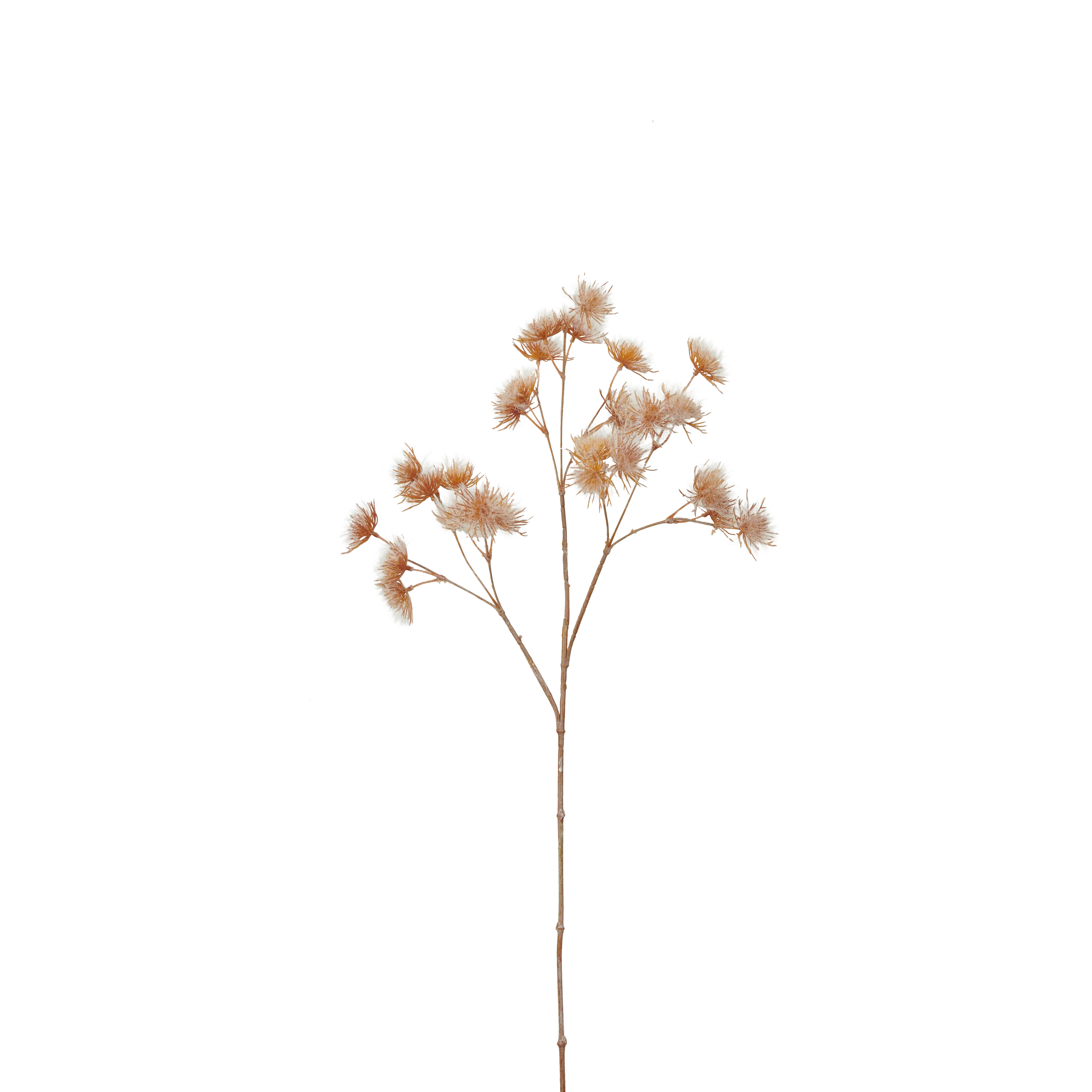 Accessories - The Flower Shop